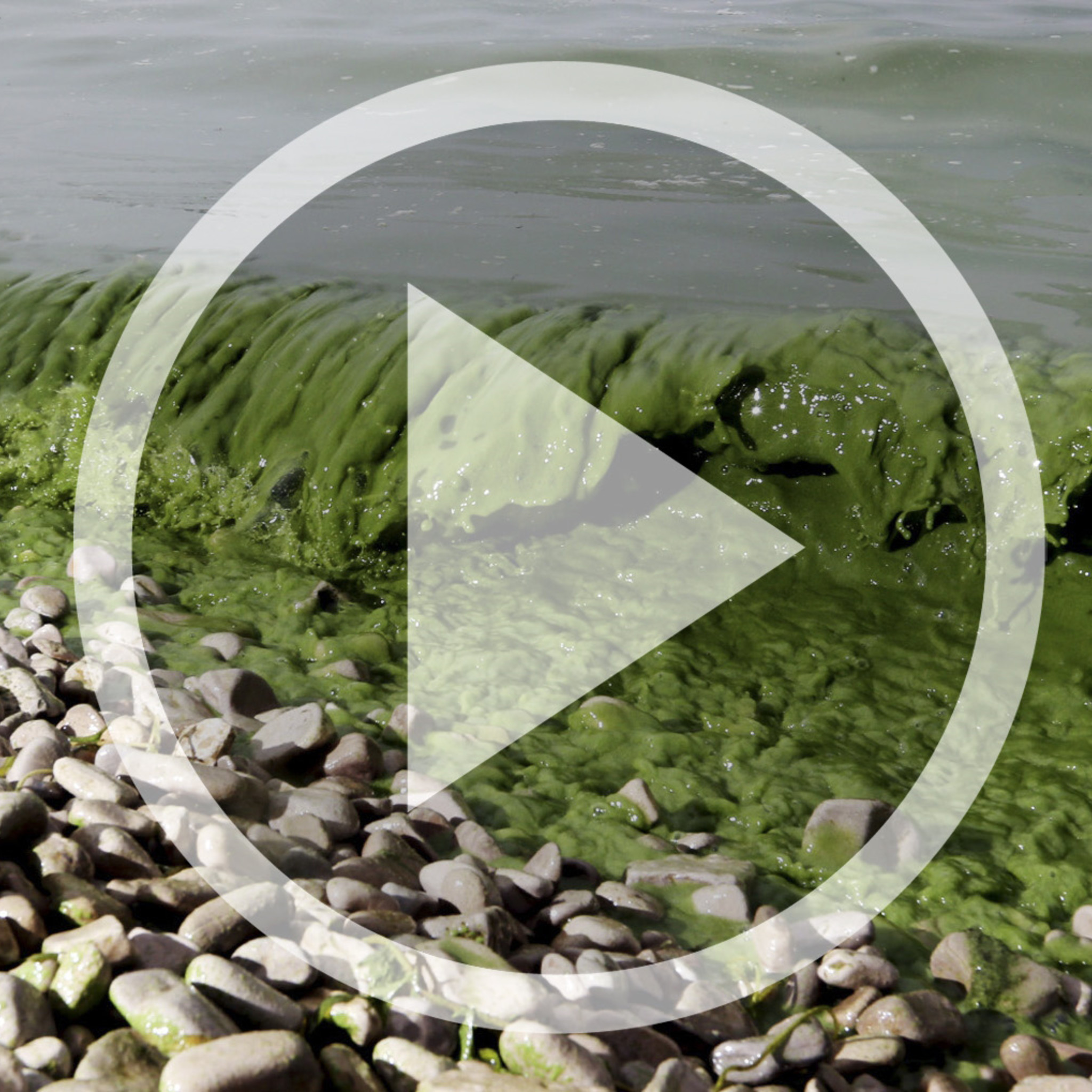 How will climate change affect us?