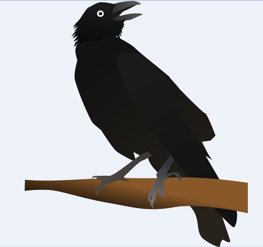 Listen: Crows have an impressive array of calls