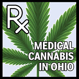 Canton CannaBuzz: Updates for May 2019