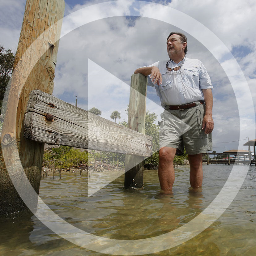 Rising Seas Interviews