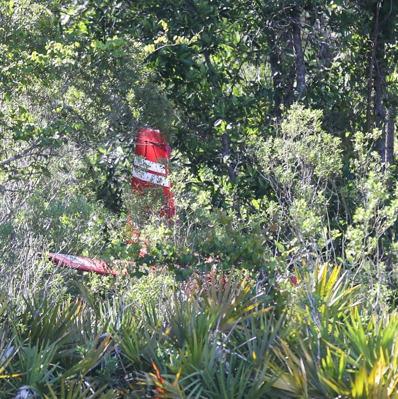 9-1-1 : Plane crashes near backyard episode artwork