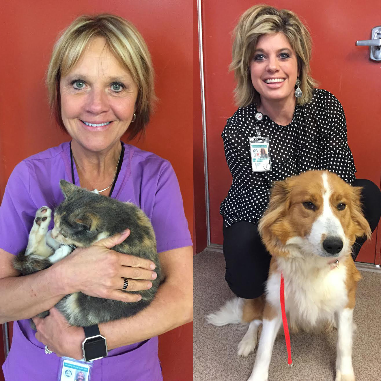 Speaking with Dorothea Wyant and Holly Wall about animal control