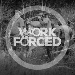 Story behind the story: Work Forced