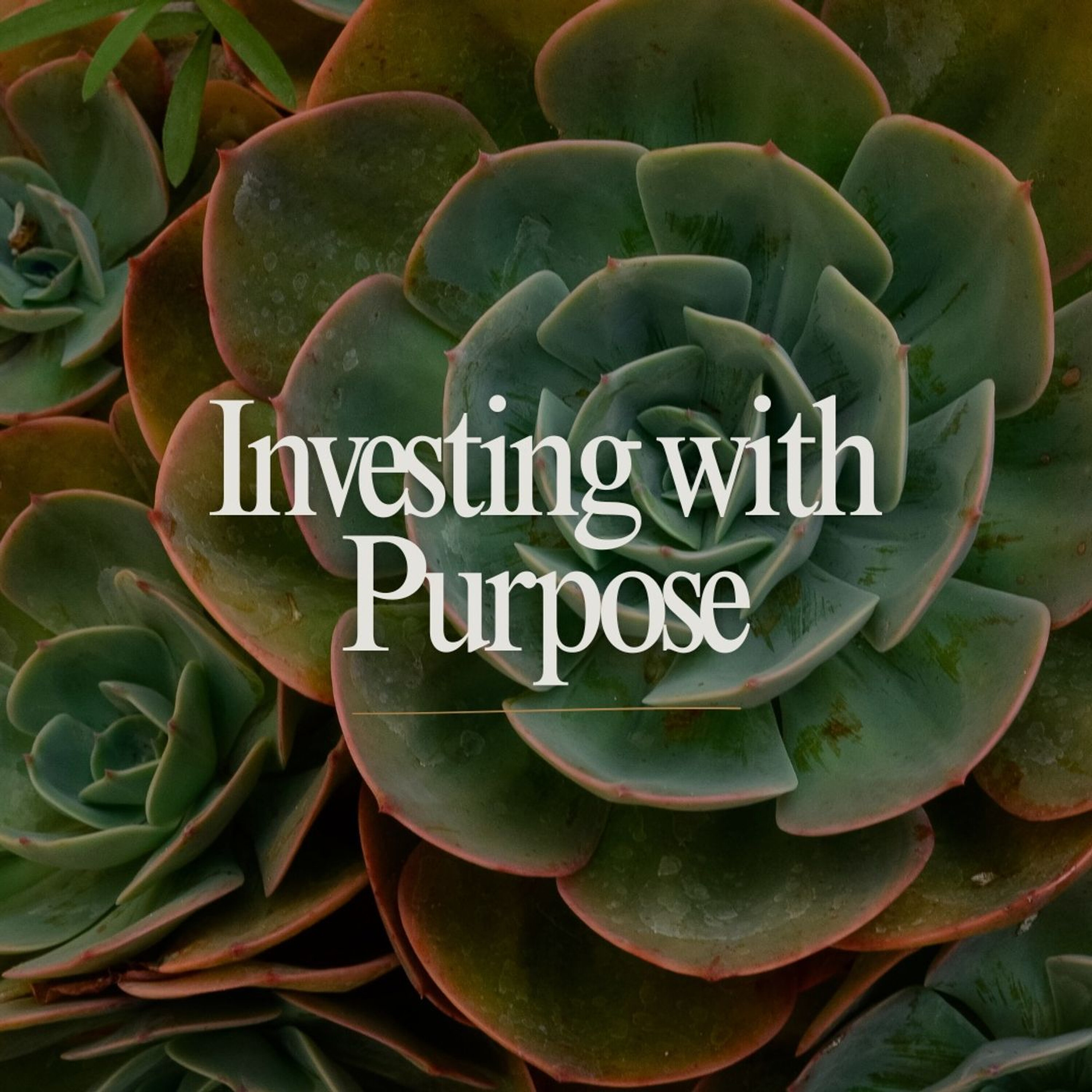 Investing with Purpose episode artwork