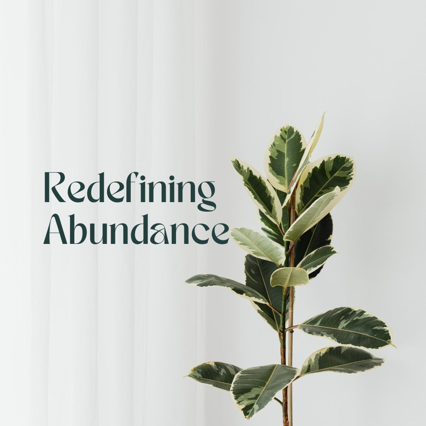 Redefining Abundance episode artwork