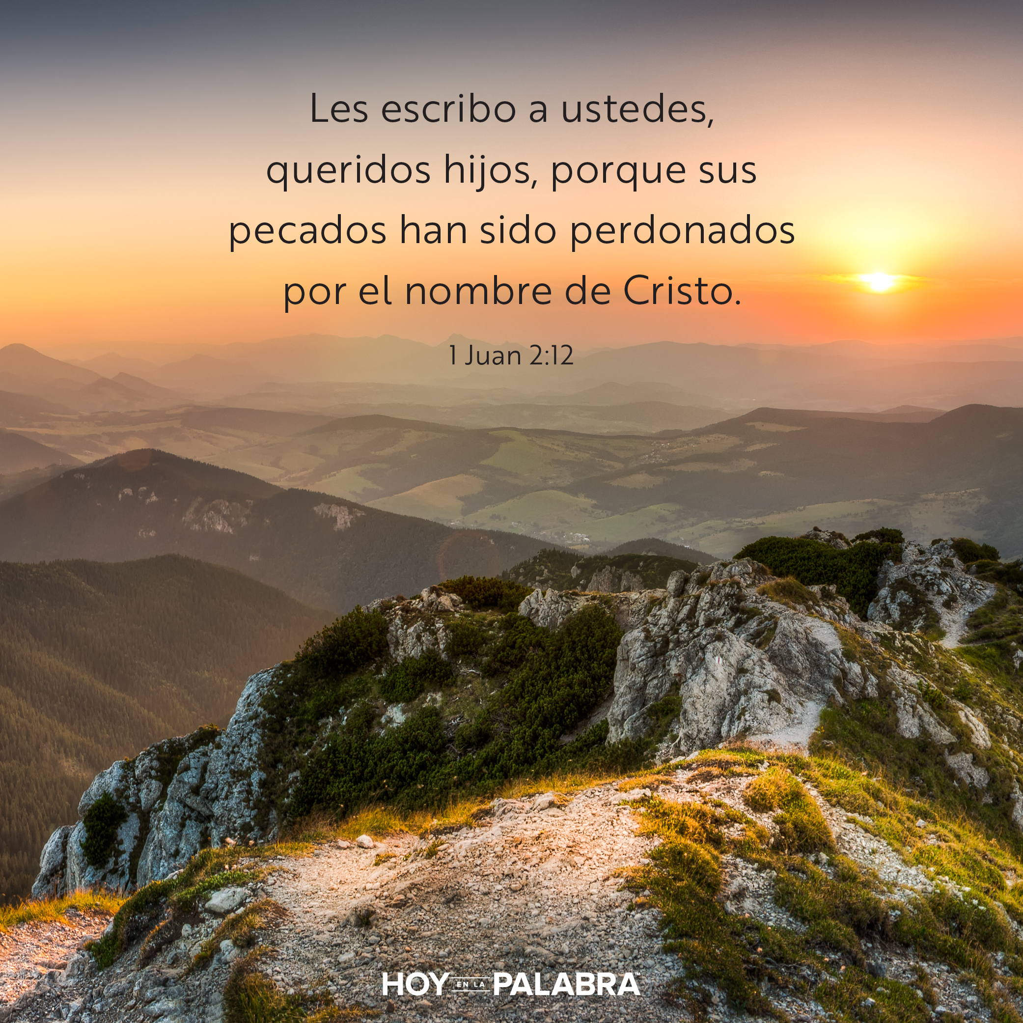 “Les escribo . . . porque”