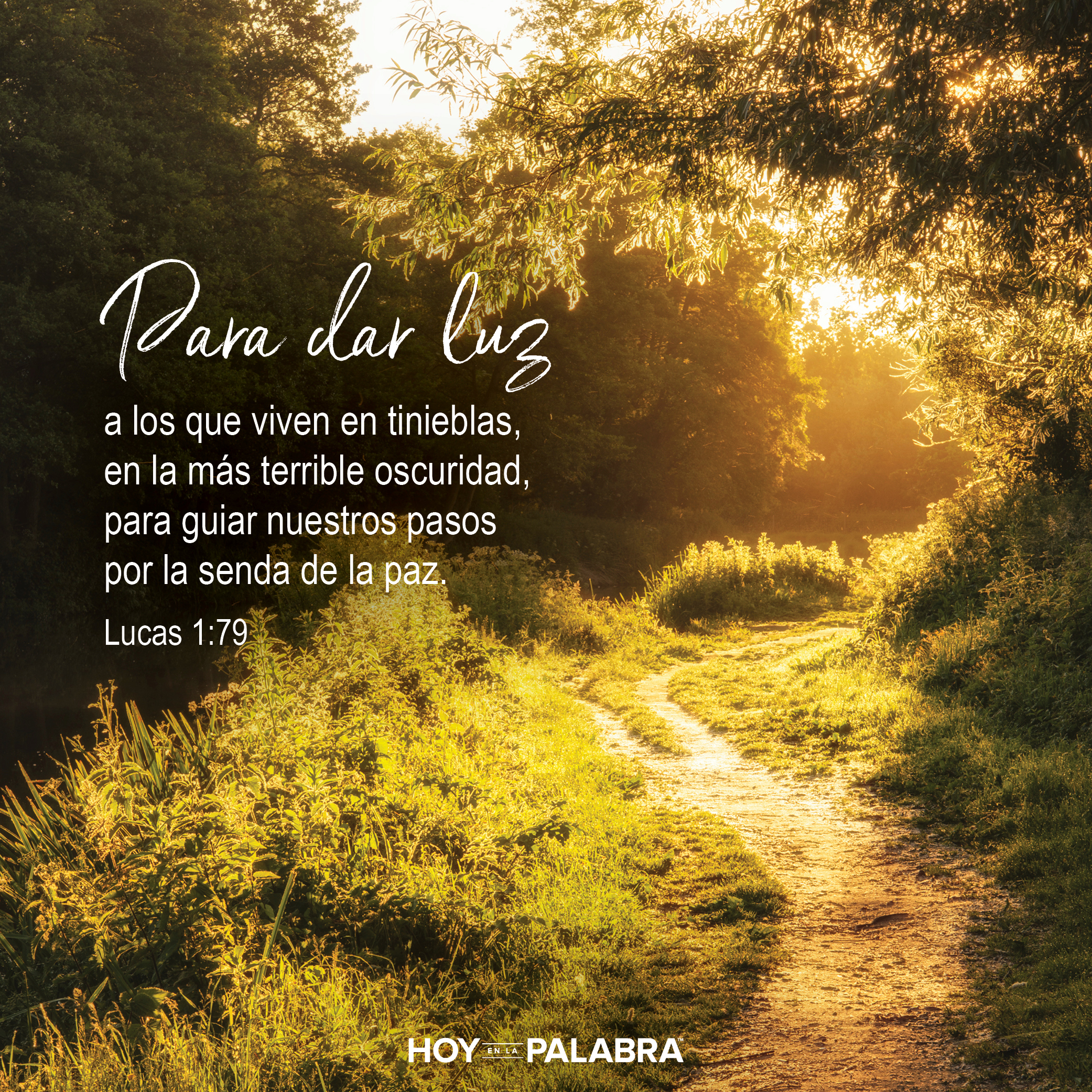 Elisabet: Maternidad valiente