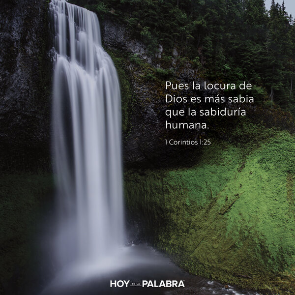 Necedad y sabiduría