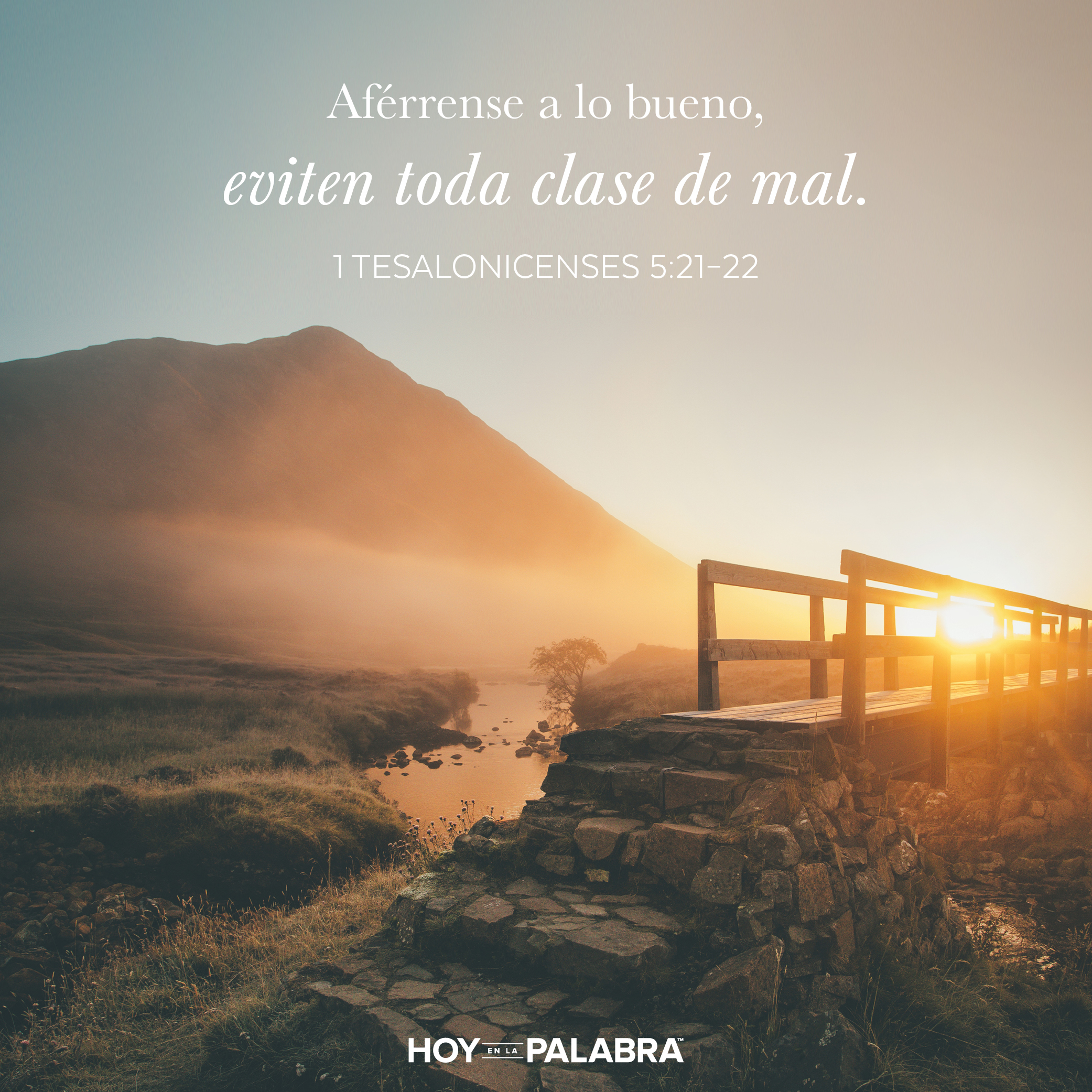 Exhortaciones finales (2)