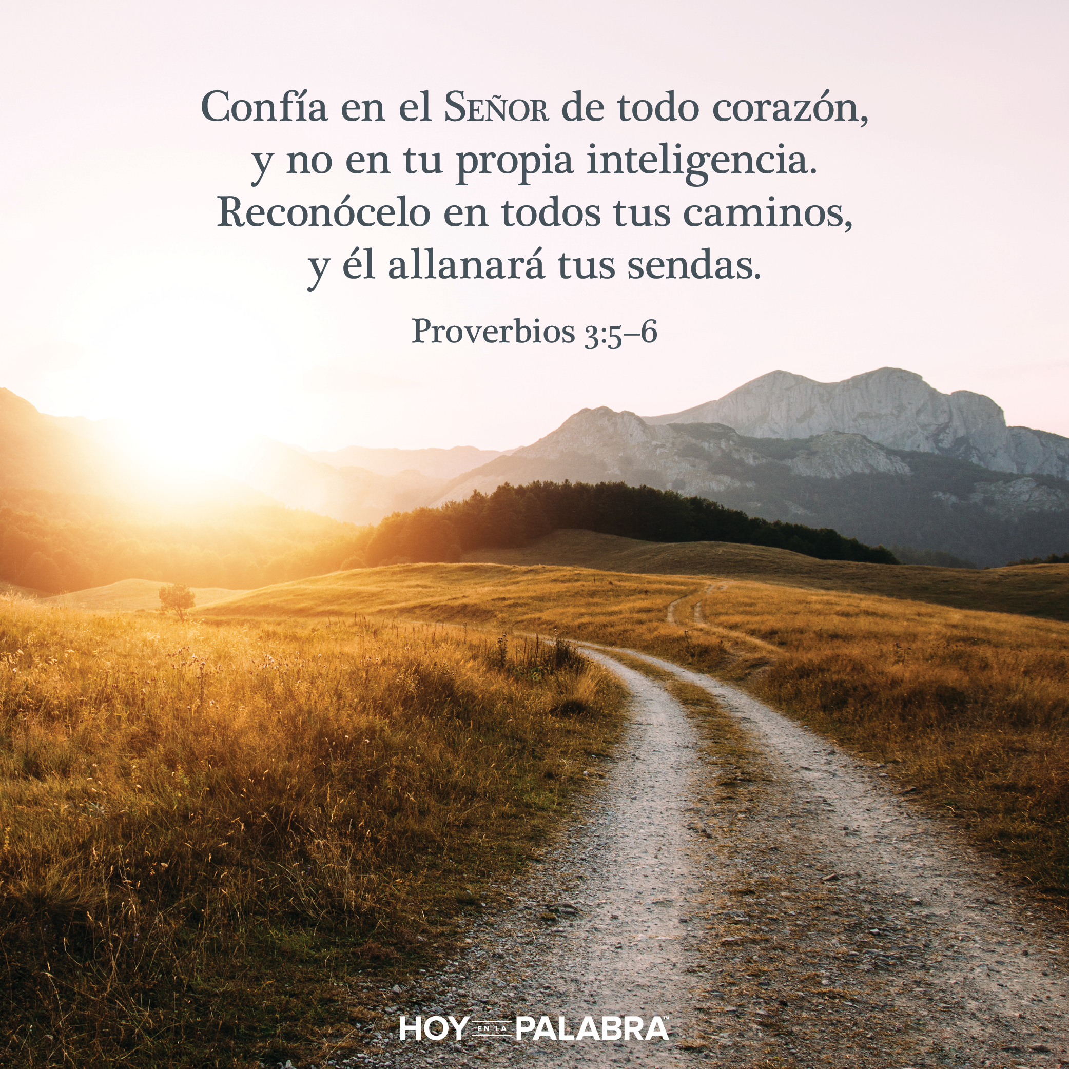 Noemí y Rut: Un plan arriesgado