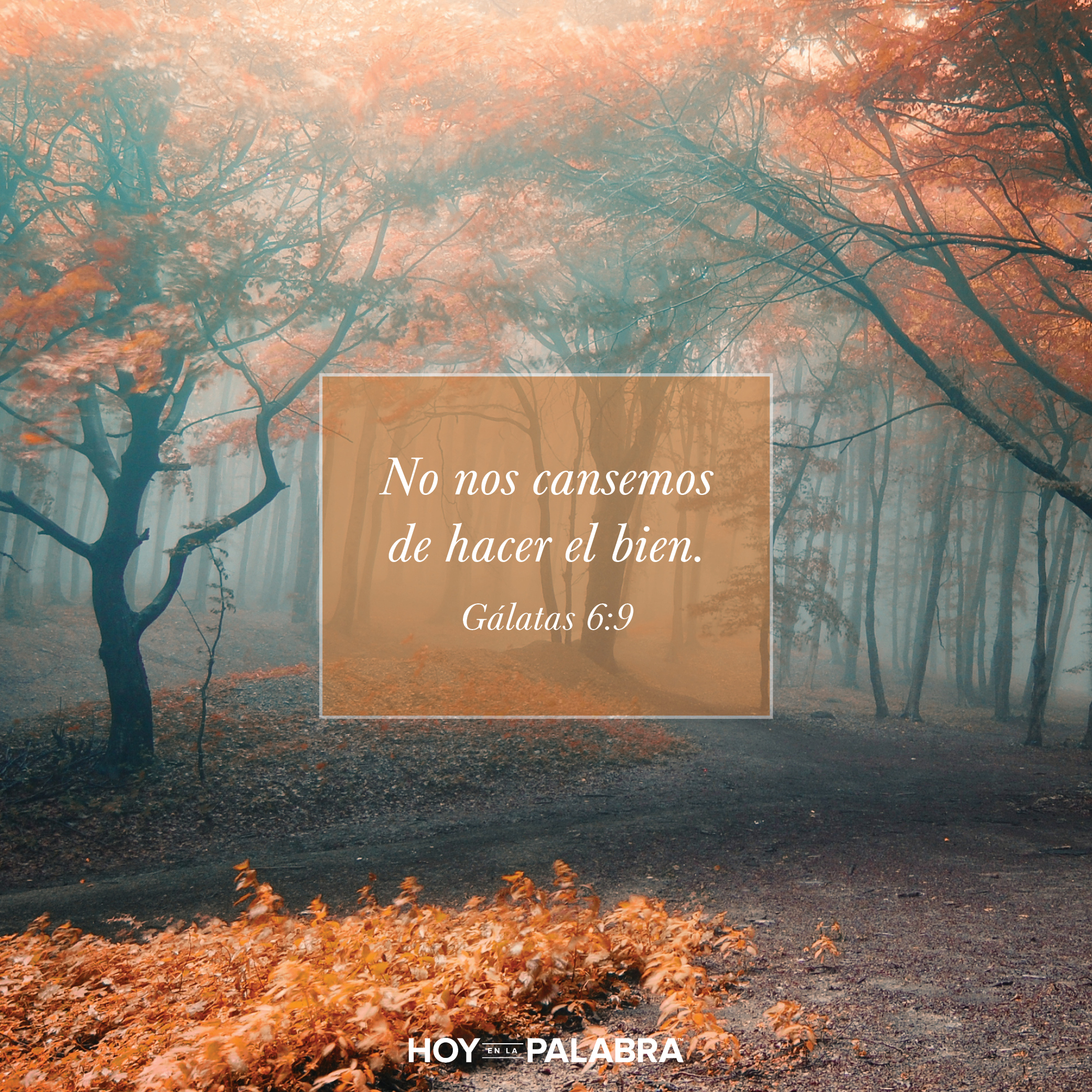 Recuerden hacer el bien