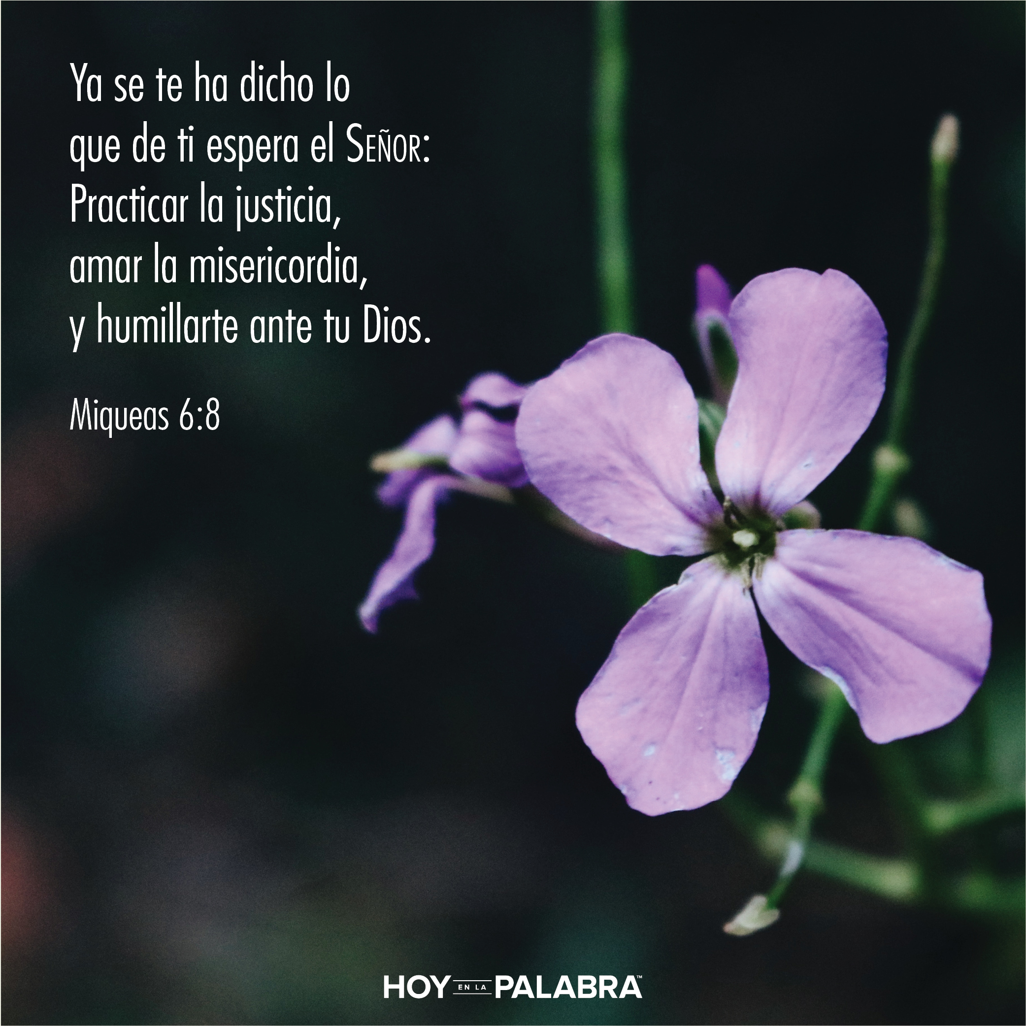 Lo que Dios requiere