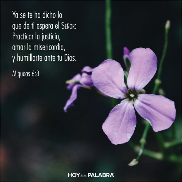 Lo que Dios requiere