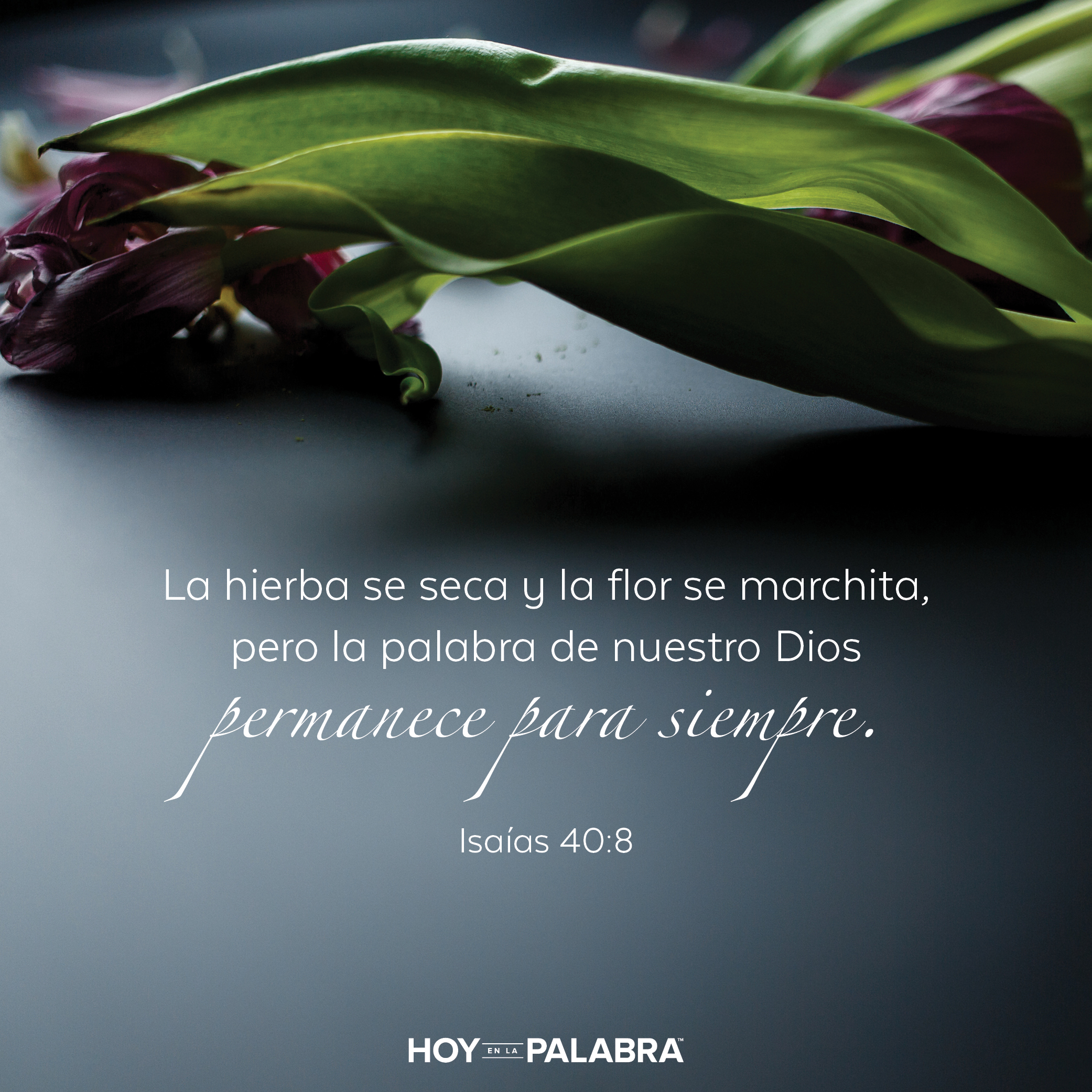 Aprender a ser el pueblo de Dios