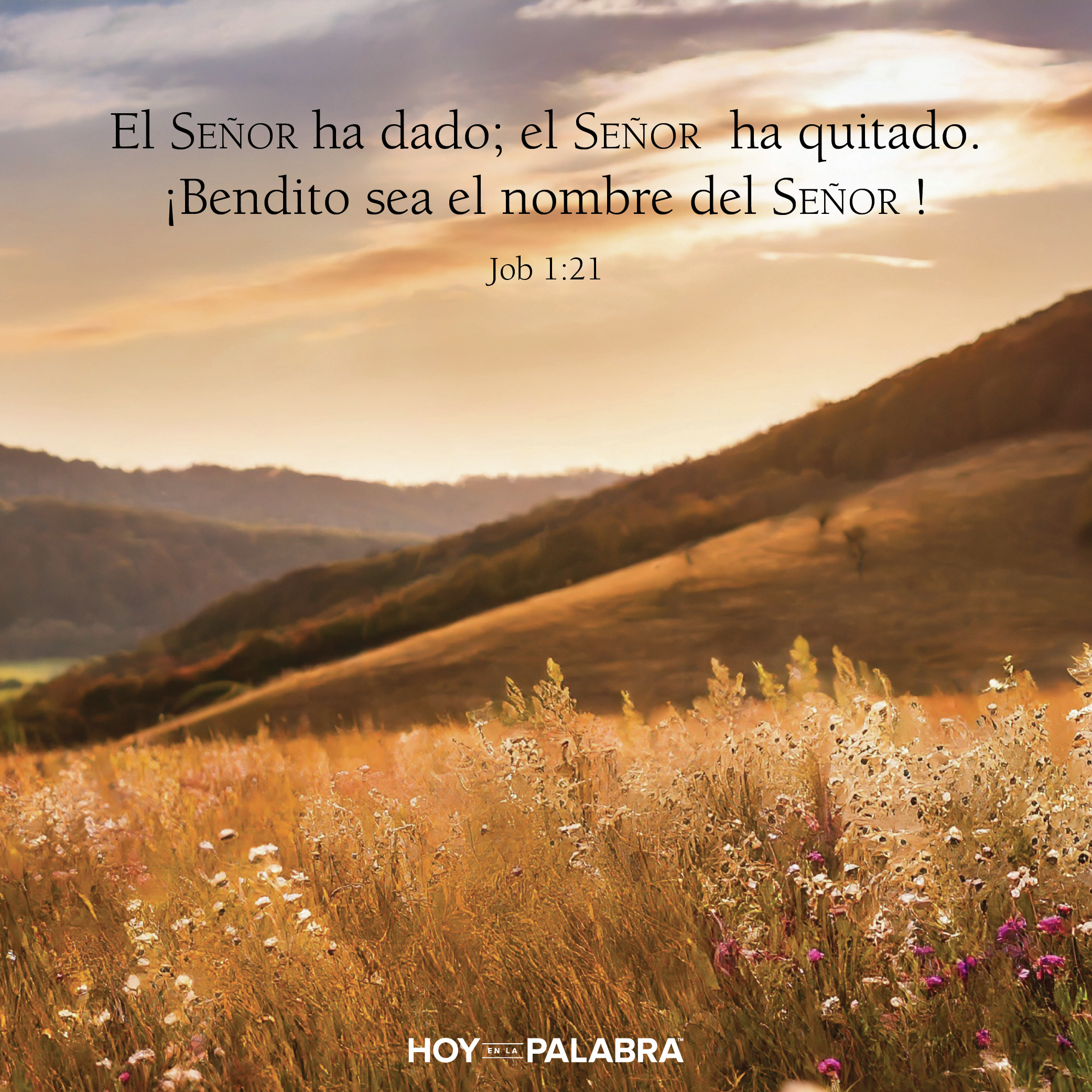 ADORACIÓN EN LA TRAGEDIA