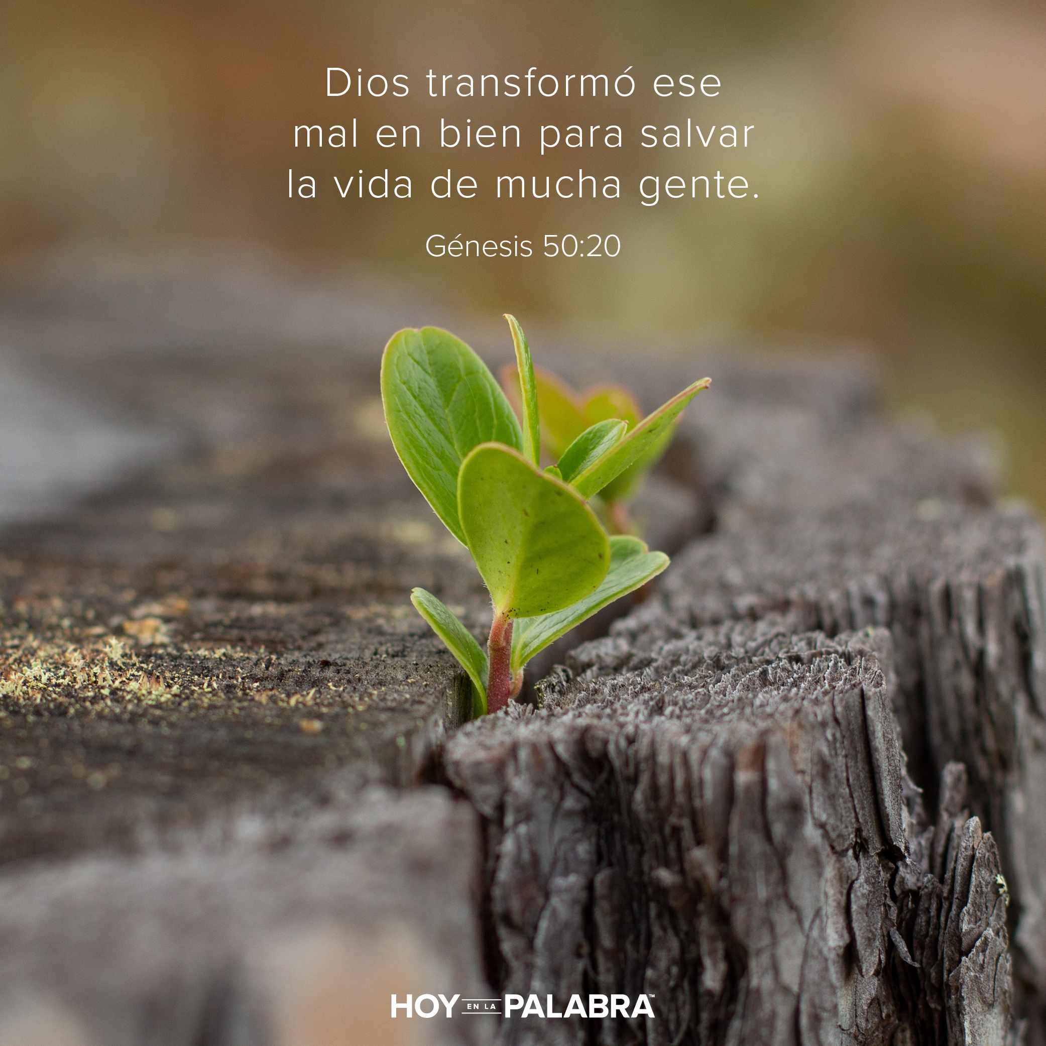 Como aprendió José