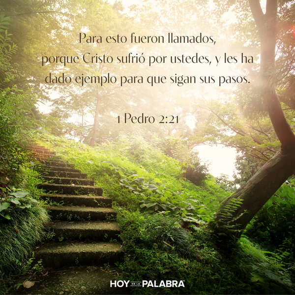 Llamados al sufrimiento