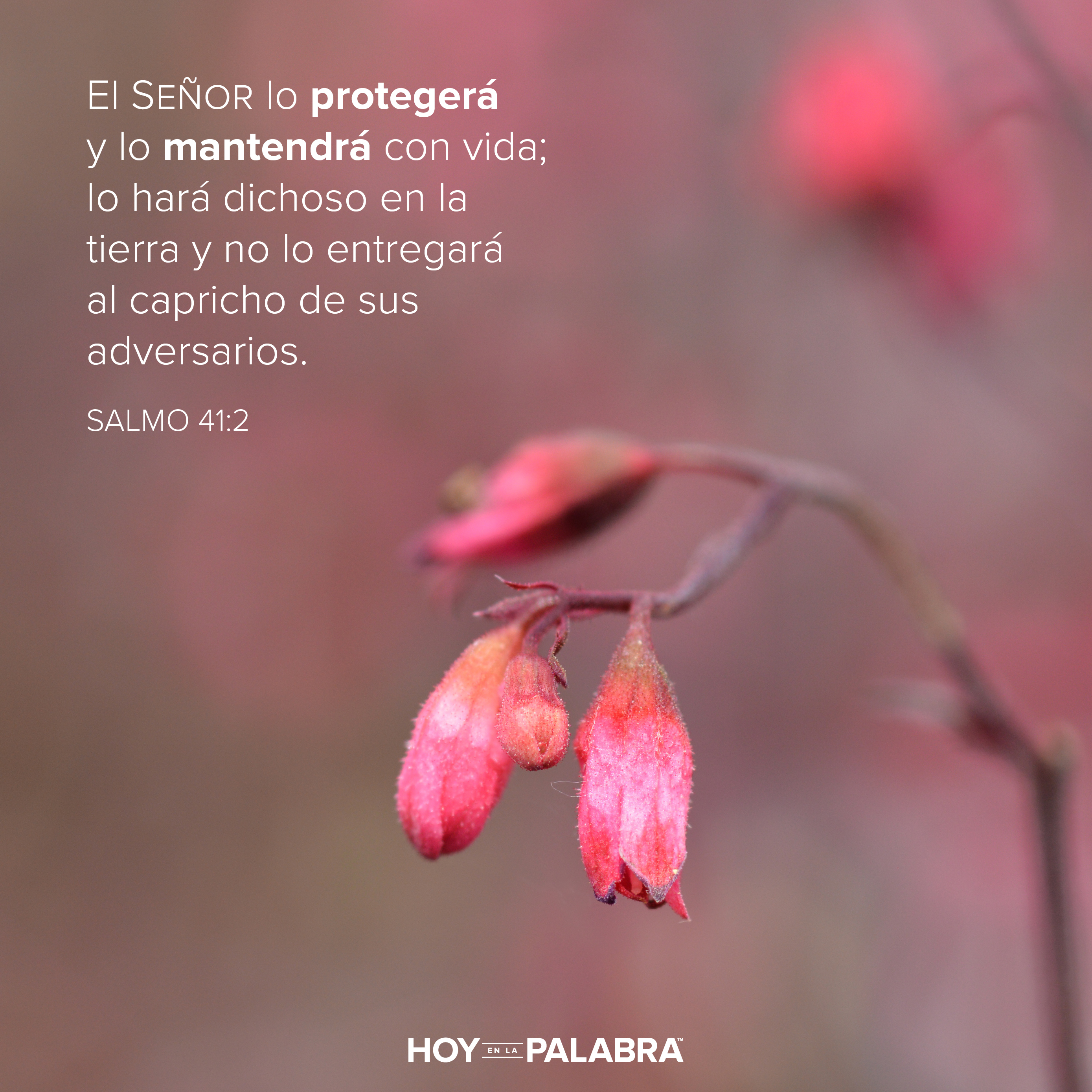 Sara: Un Dios que cuida