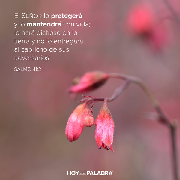 Sara: Un Dios que cuida