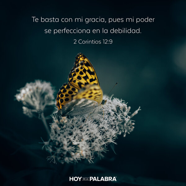 Servir en la debilidad