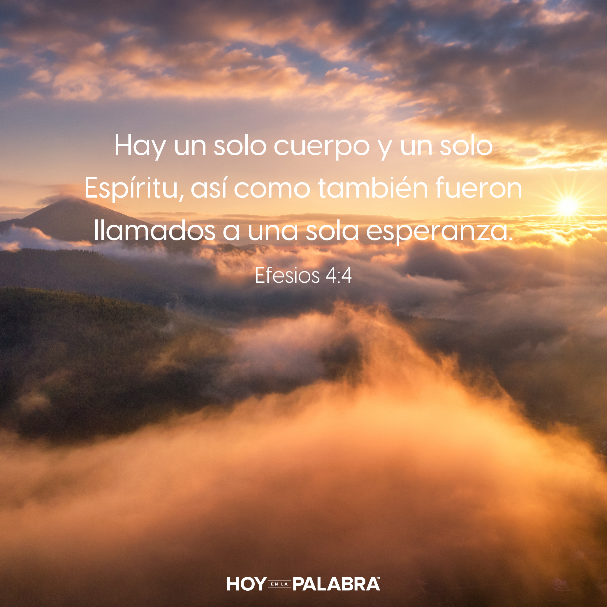 Llamados a caminar dignamente