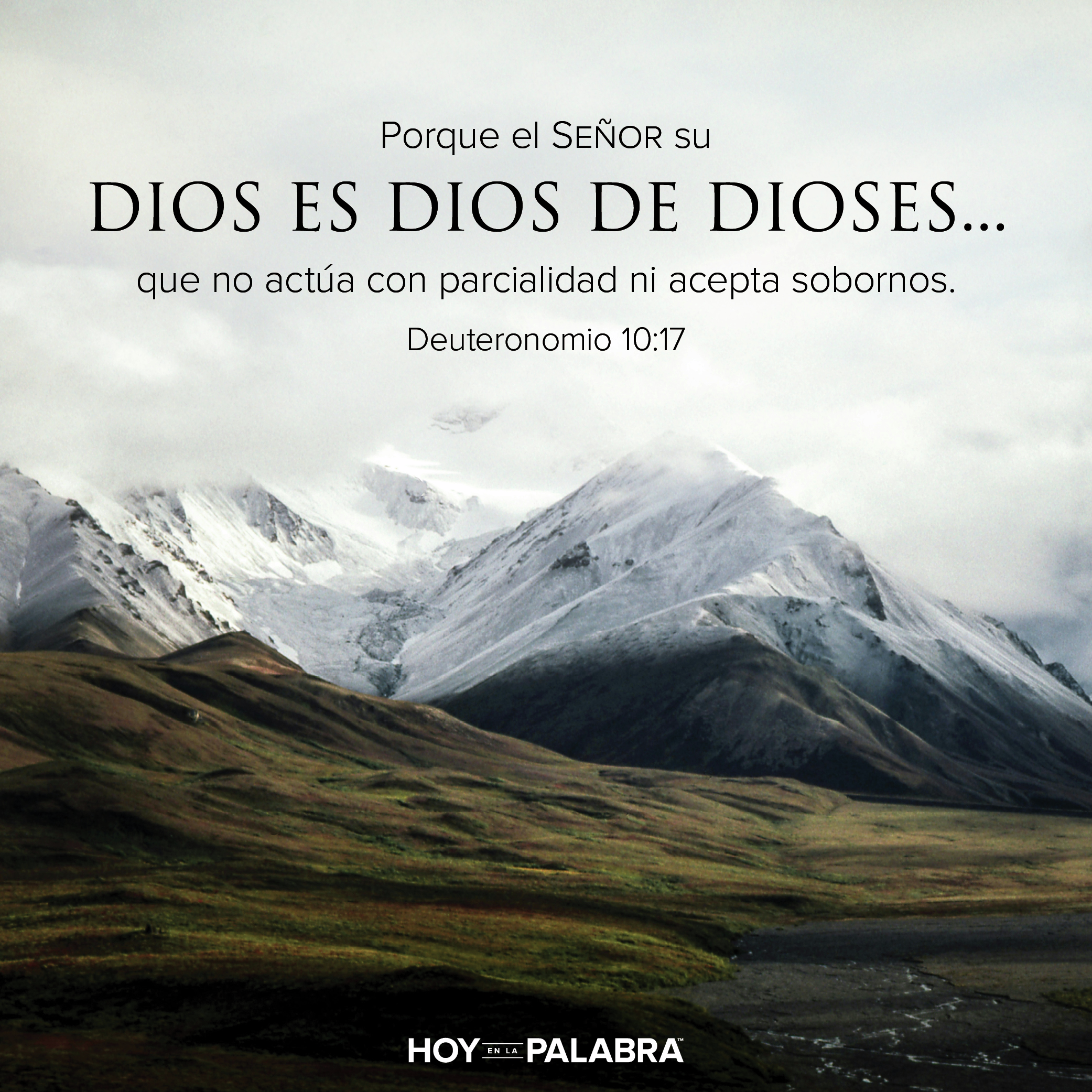 TRANSFORMADOS POR GRACIA