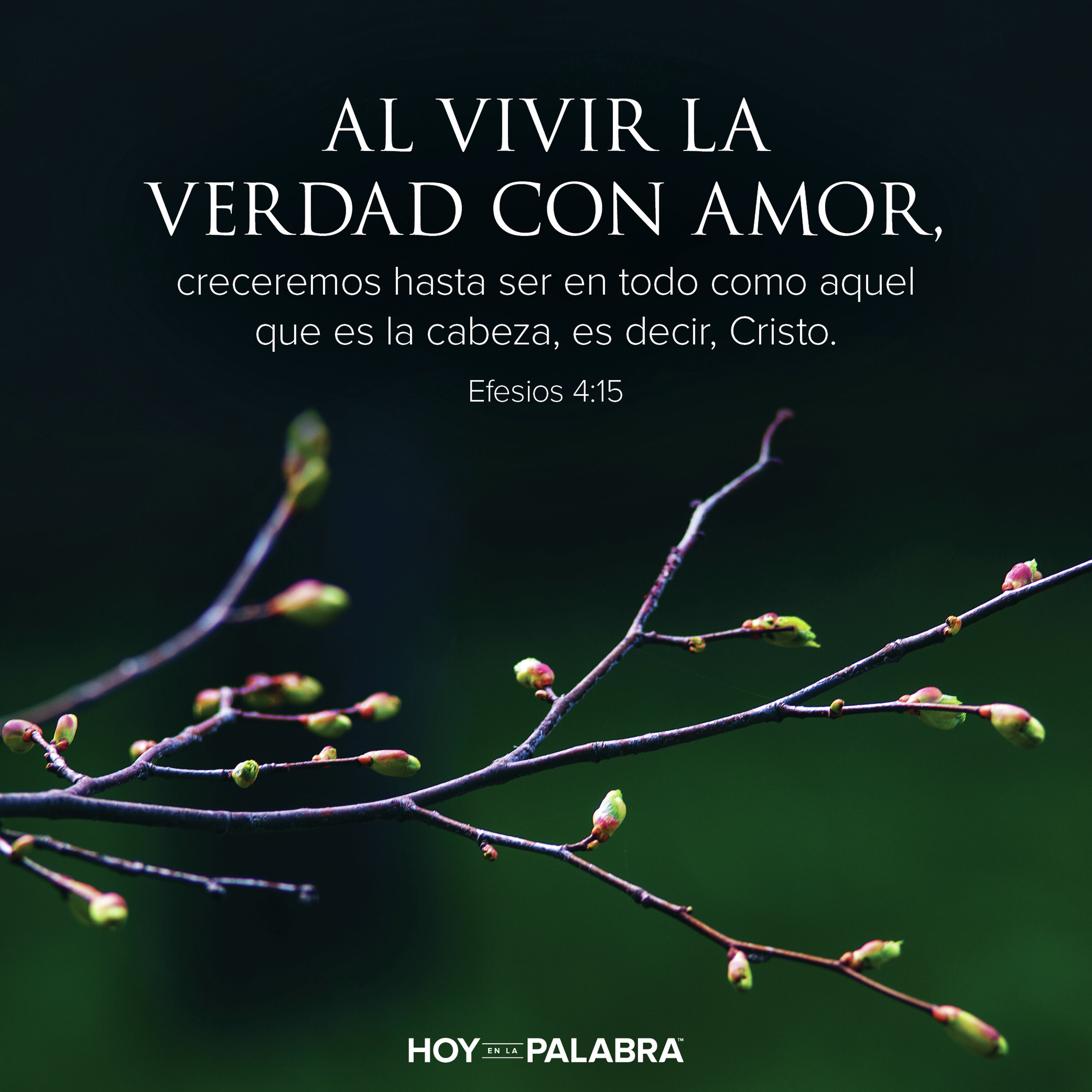 MADUREZ EN CRISTO