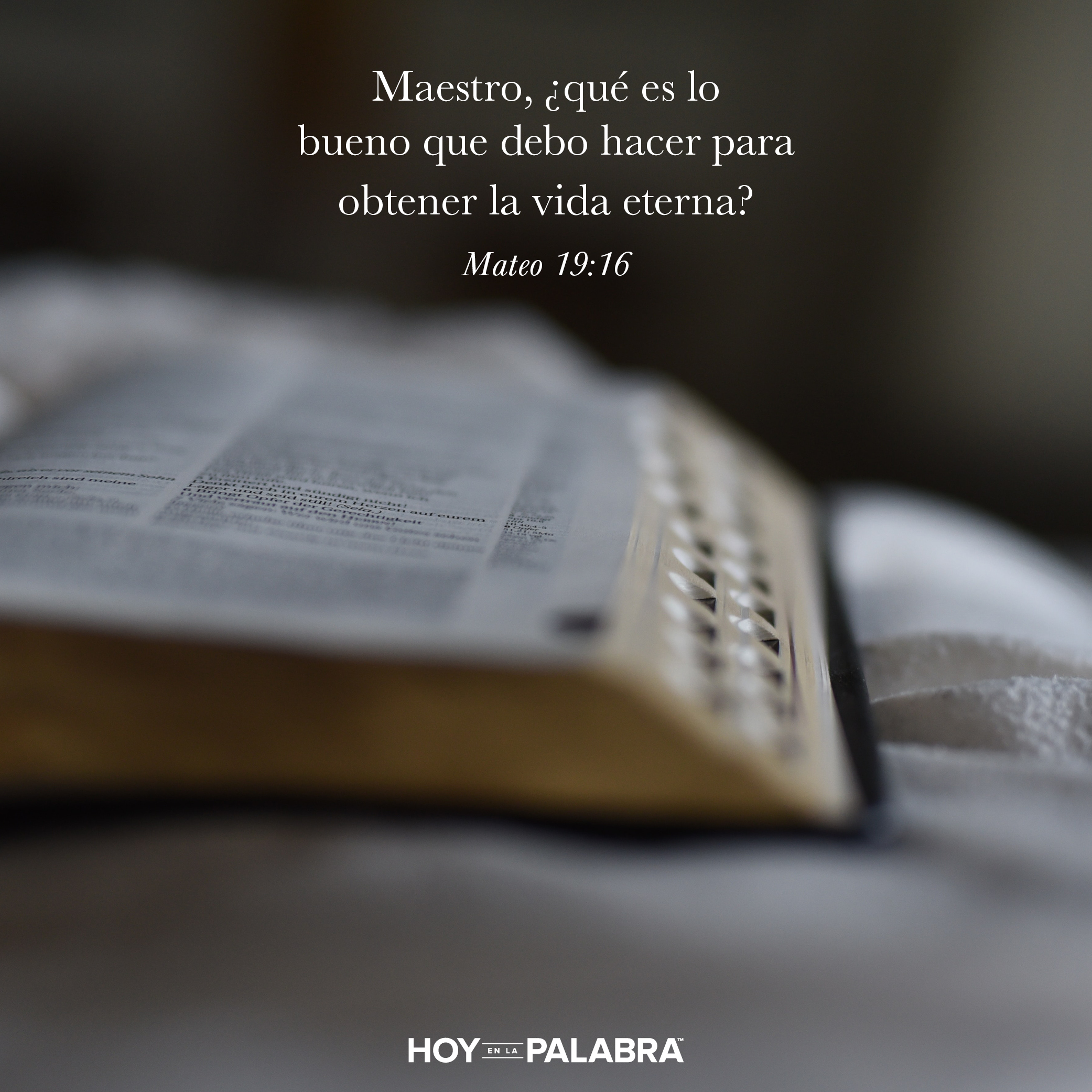 Prioridades en la vida