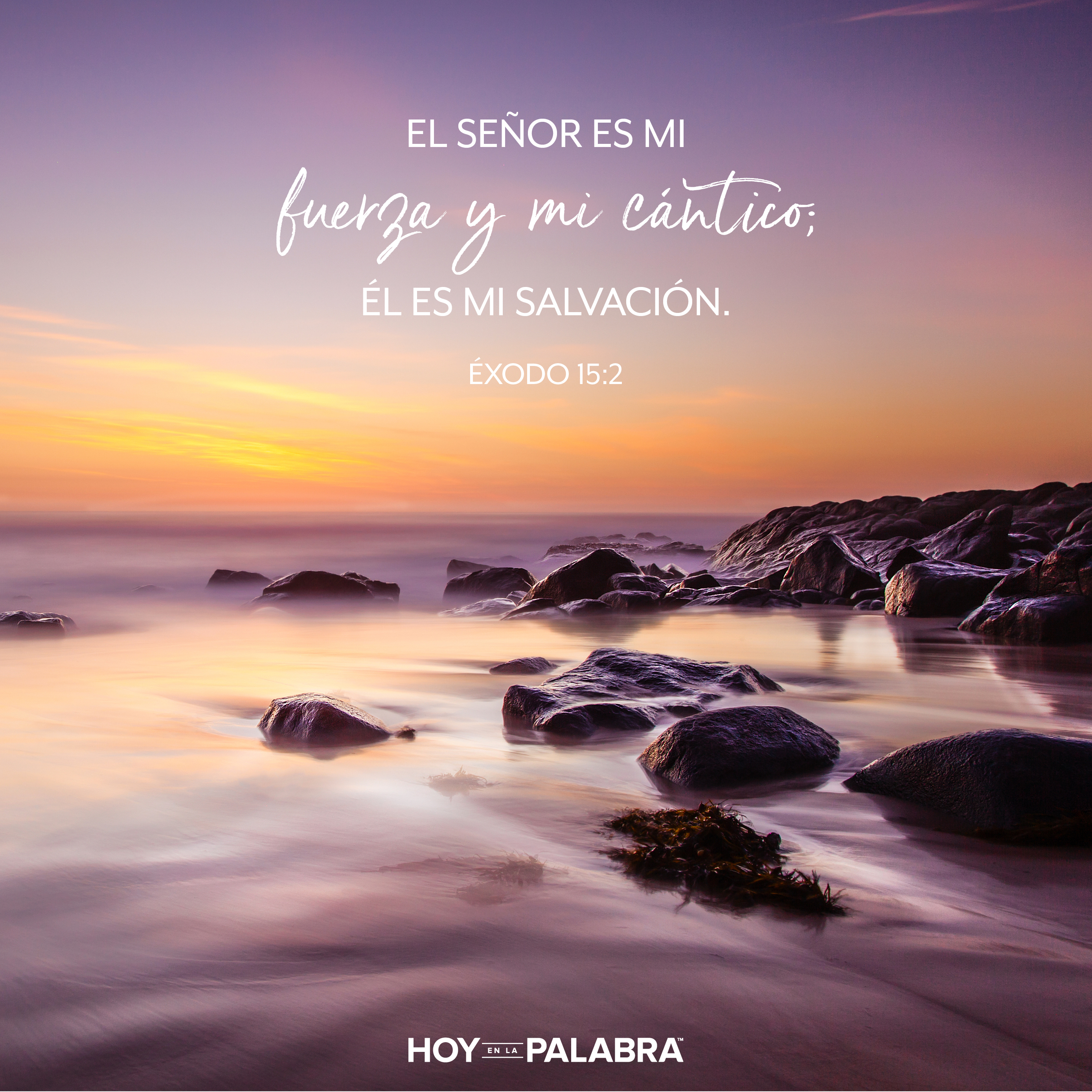 Miriam: La profetisa