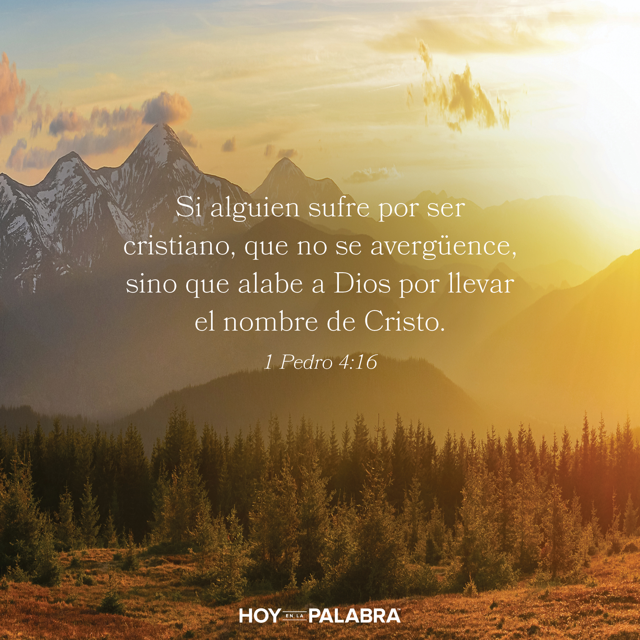 Sufrir como Cristo