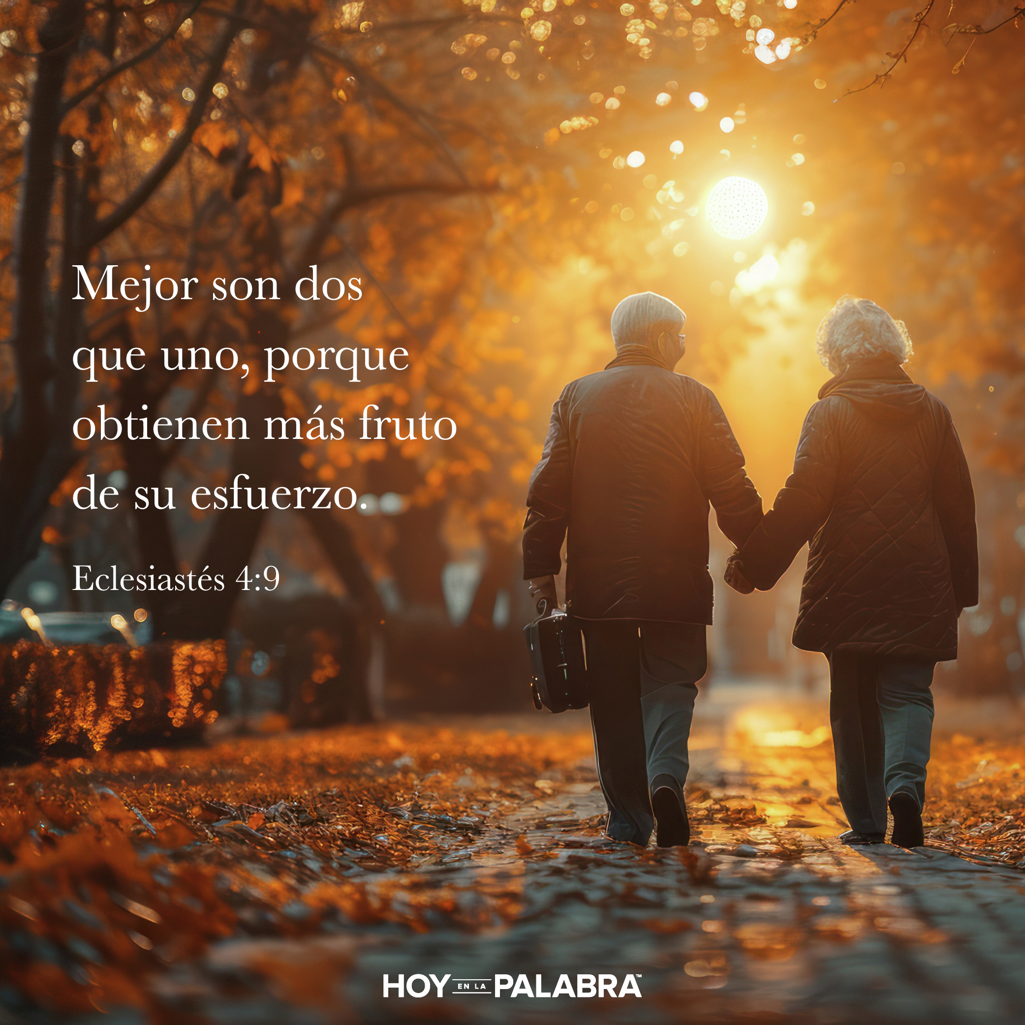 LA DICHA DEL COMPAÑERISMO