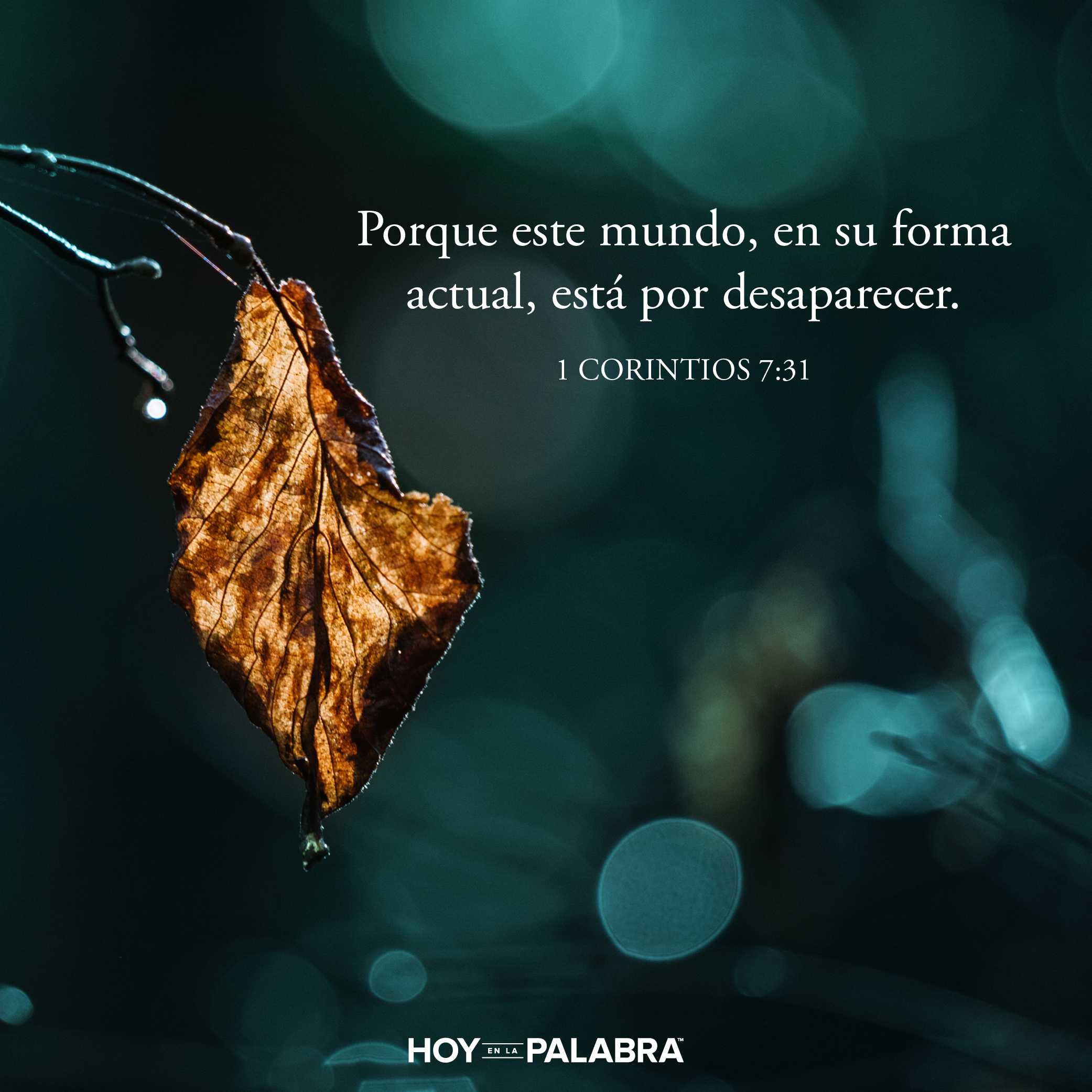 ¿Solteros o casados?