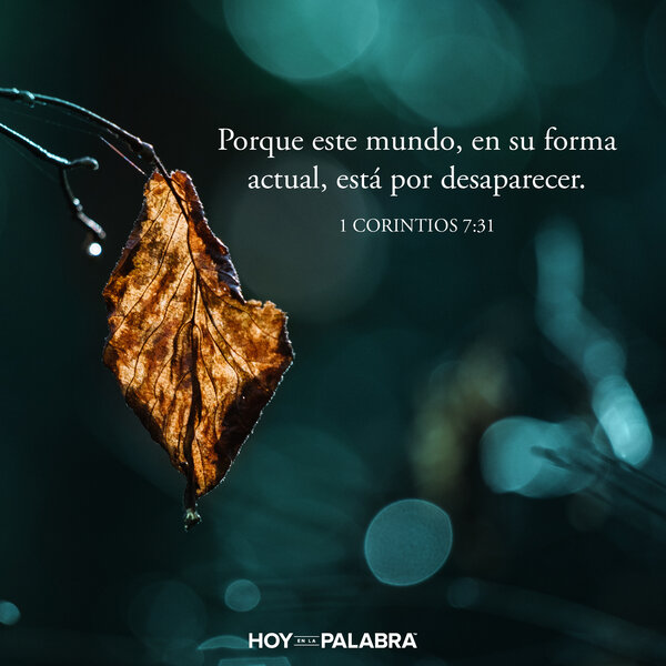 ¿Solteros o casados?