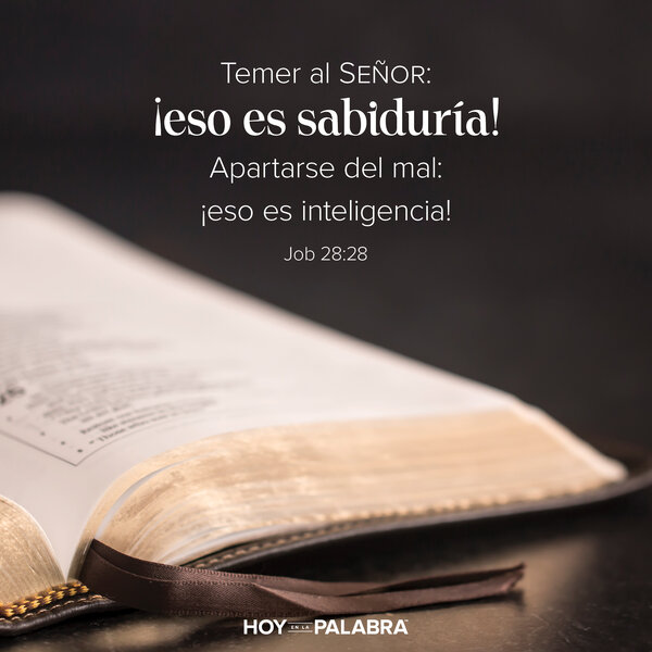 ¿DÓNDE ENCONTRAR SABIDURÍA?