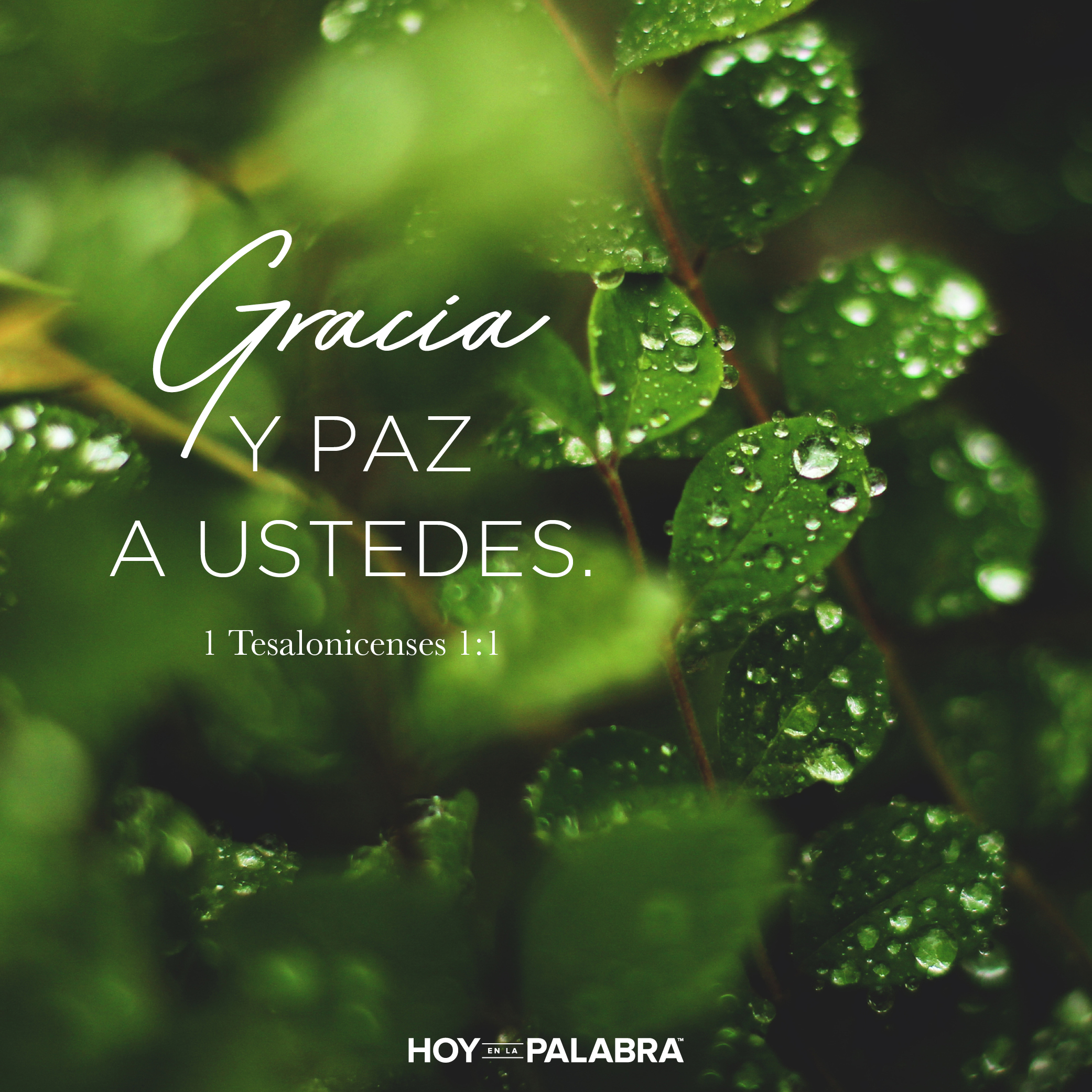 Queridos tesalonicenses