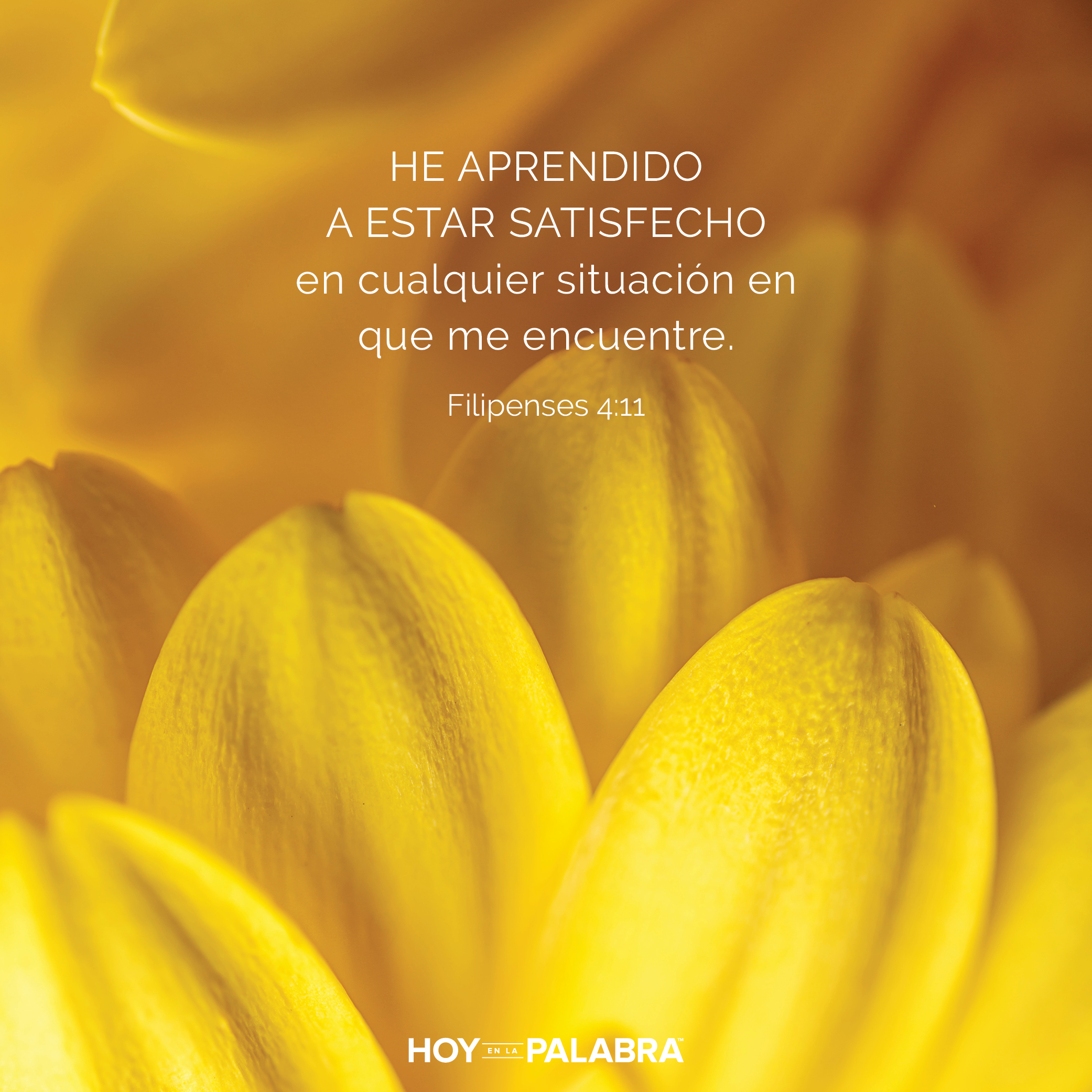 El arte de contentamiento