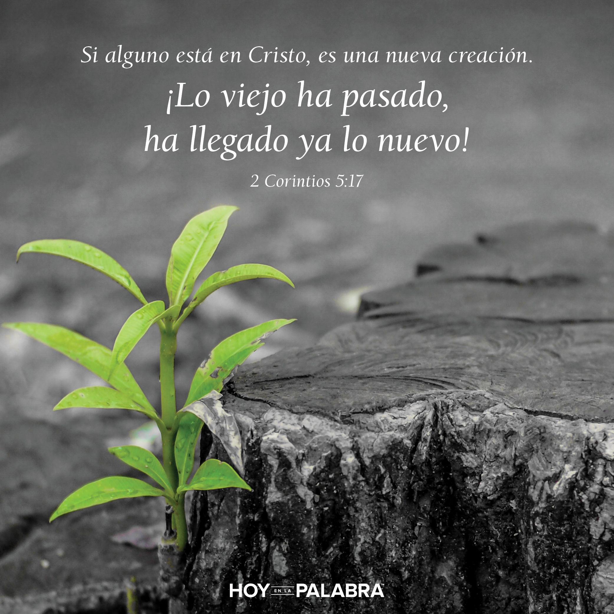 Beber el Agua de Vida