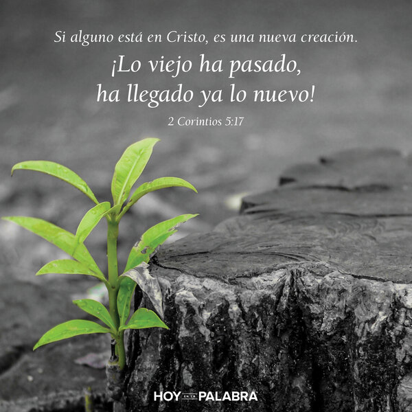 Beber el Agua de Vida