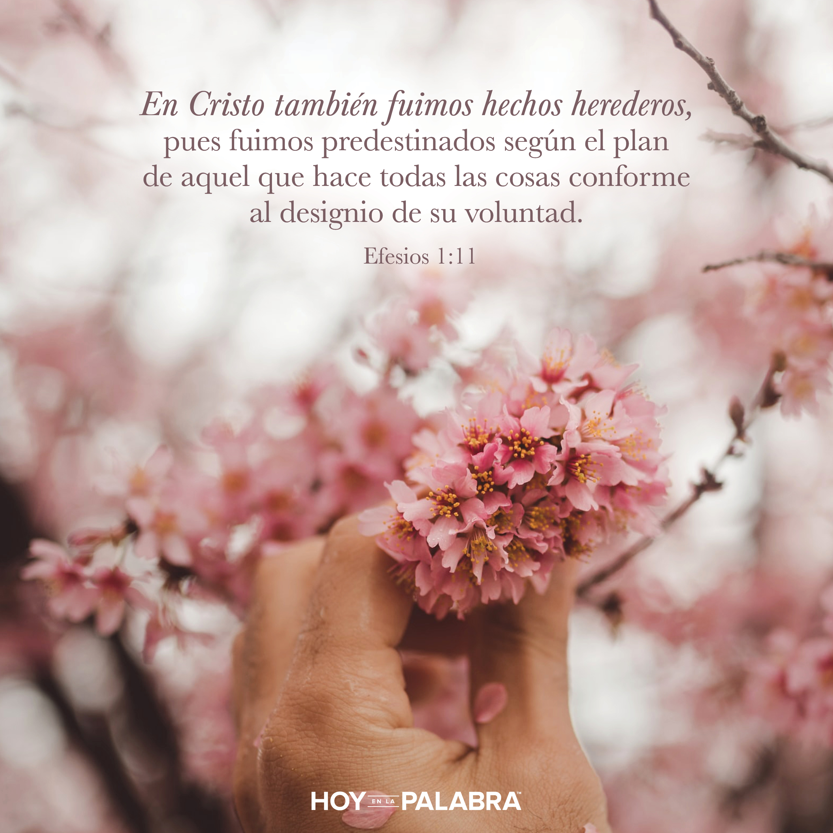 Rebeca: Un embarazo conflictivo