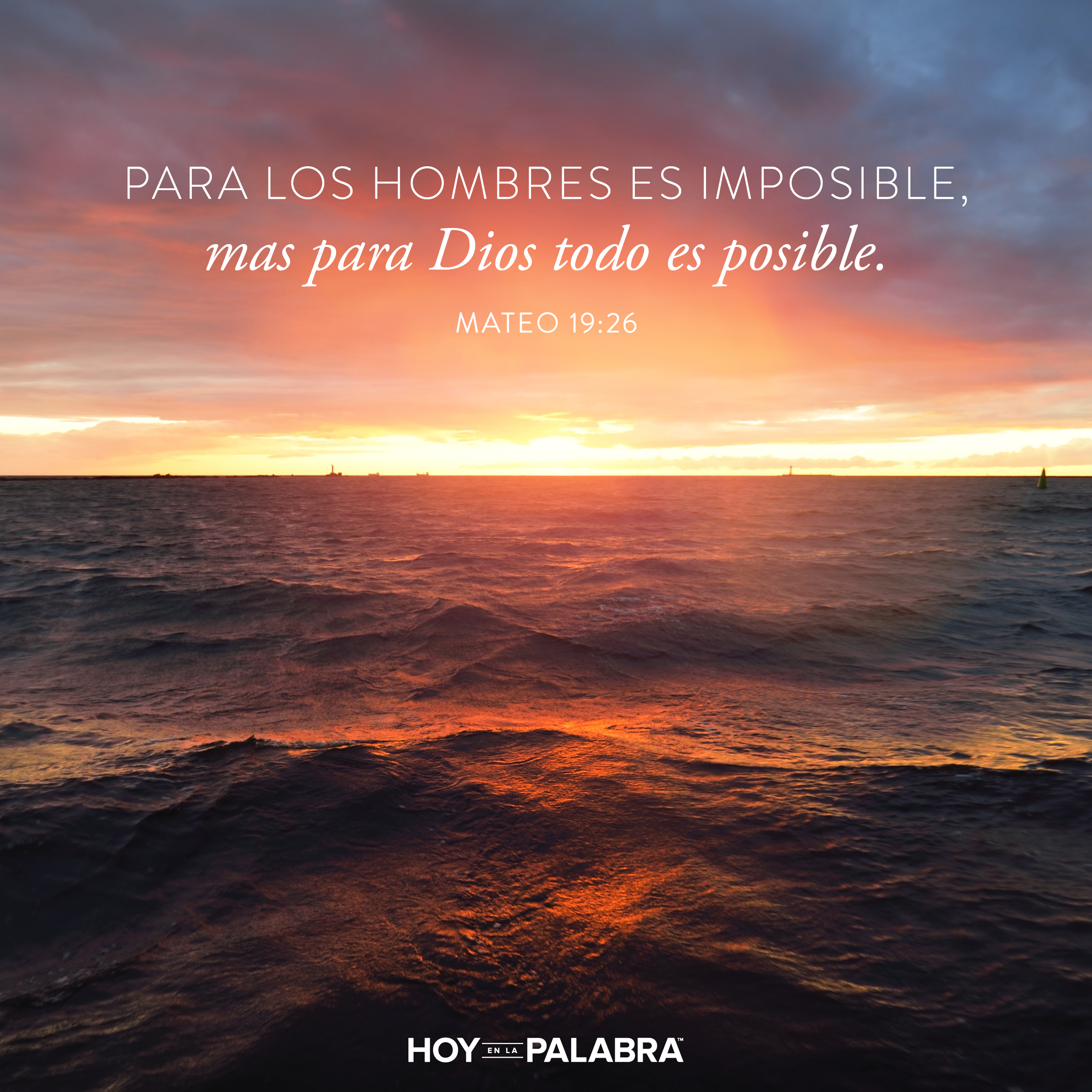 Sara: Vivir lo imposible