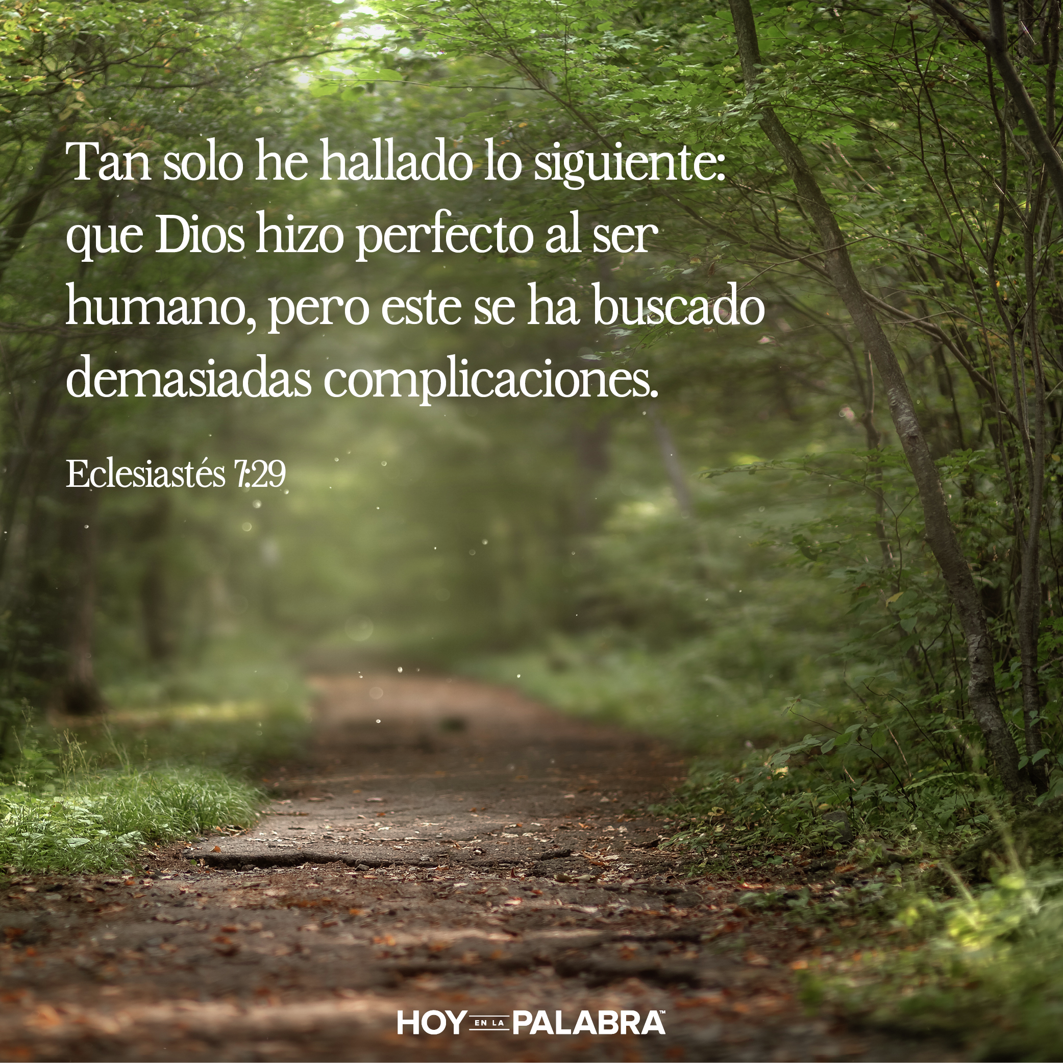 LA INTENCIÓN ORIGINAL DE DIOS