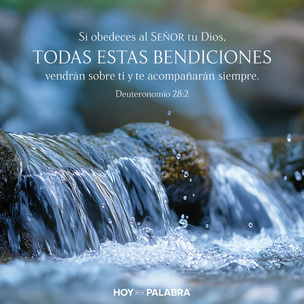 LAS BENDICIONES DE LA OBEDIENCIA