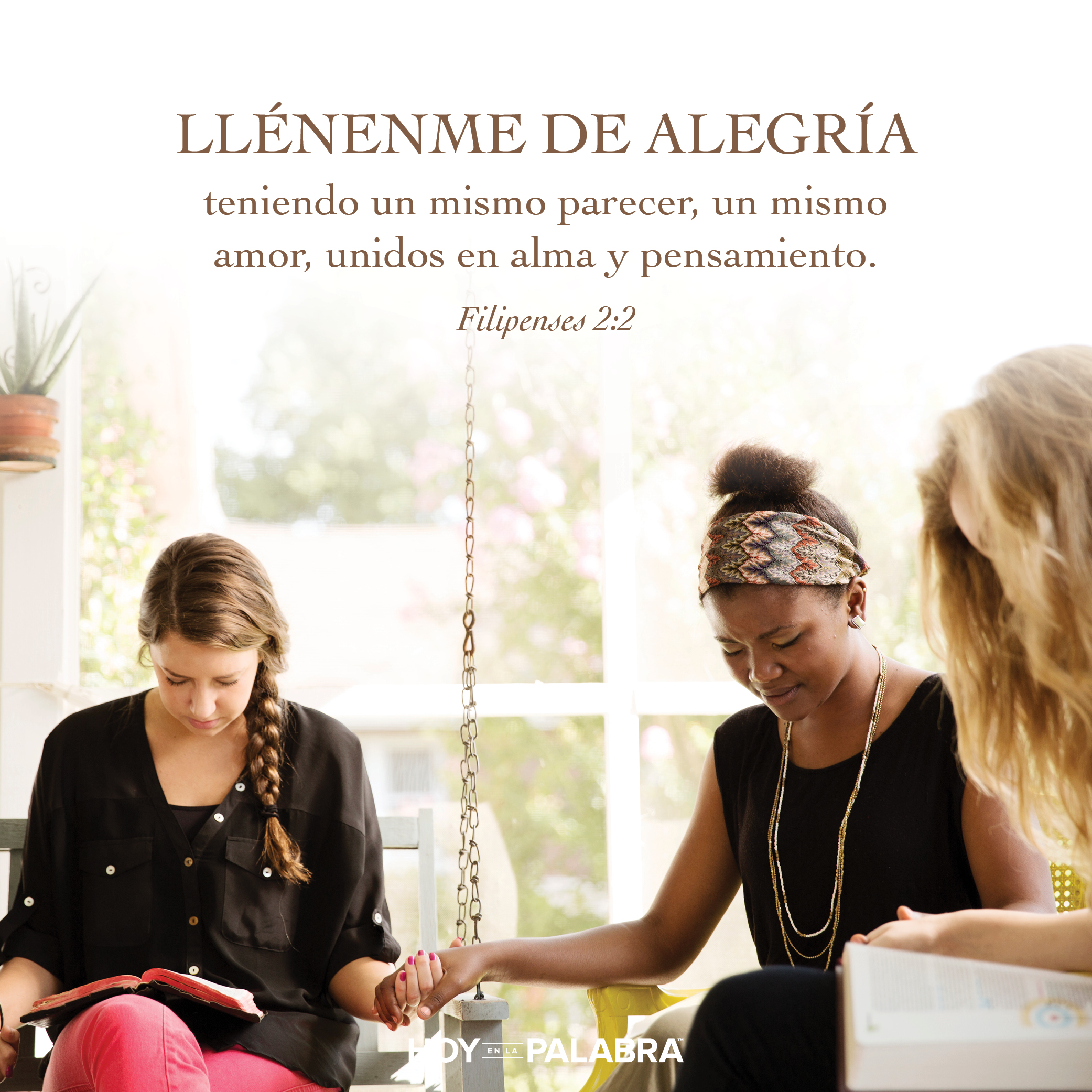 Evodia y Síntique: Mejor en unidad