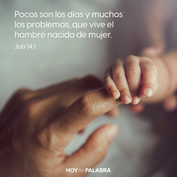 JOB: DIOS ME LIBRARÁ