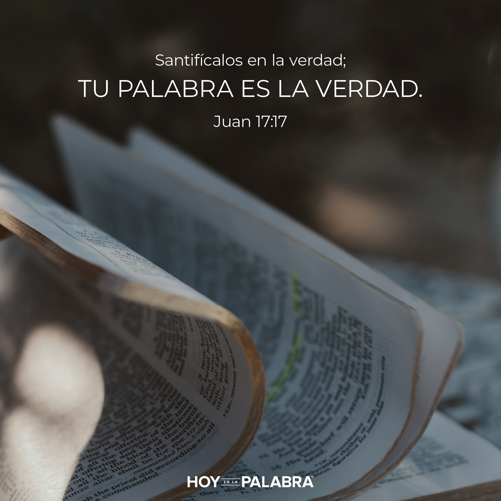 Cristo ora por nosotros (2)