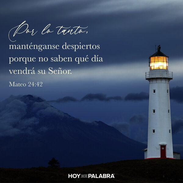 VIGILANTES ANTE SU PRESENCIA