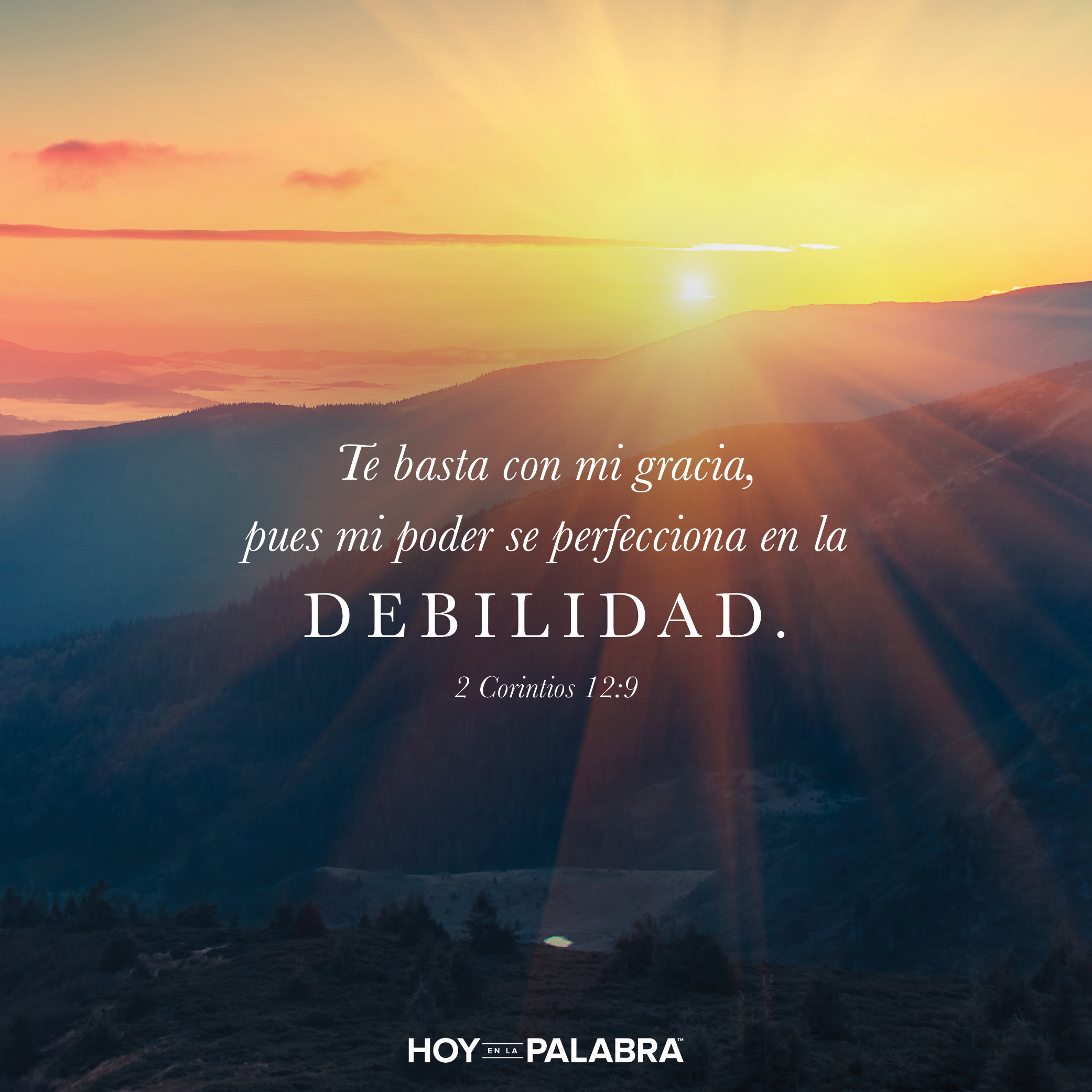 Todo lo que necesitamos