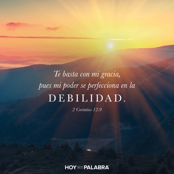 Todo lo que necesitamos