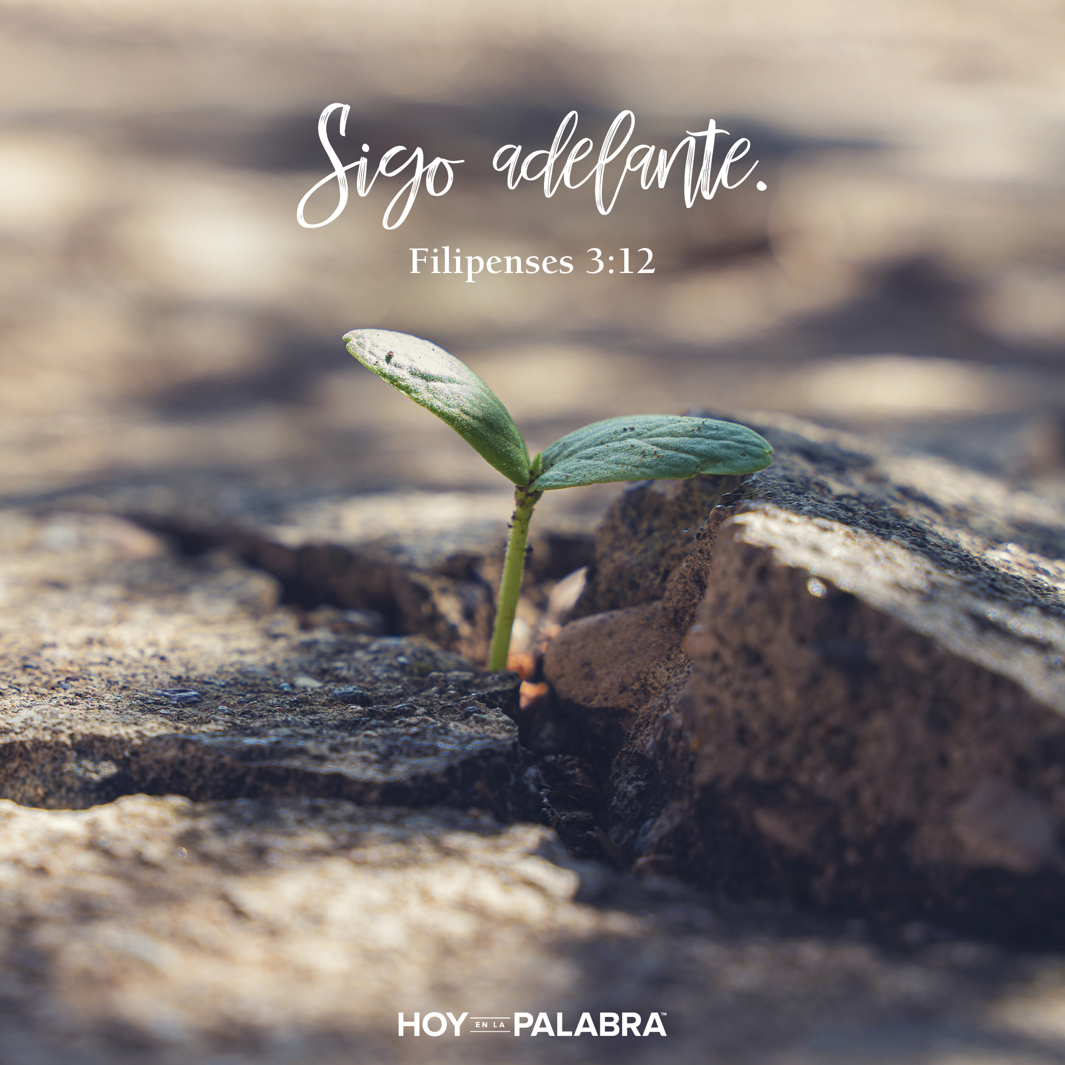 Practicar la perseverancia