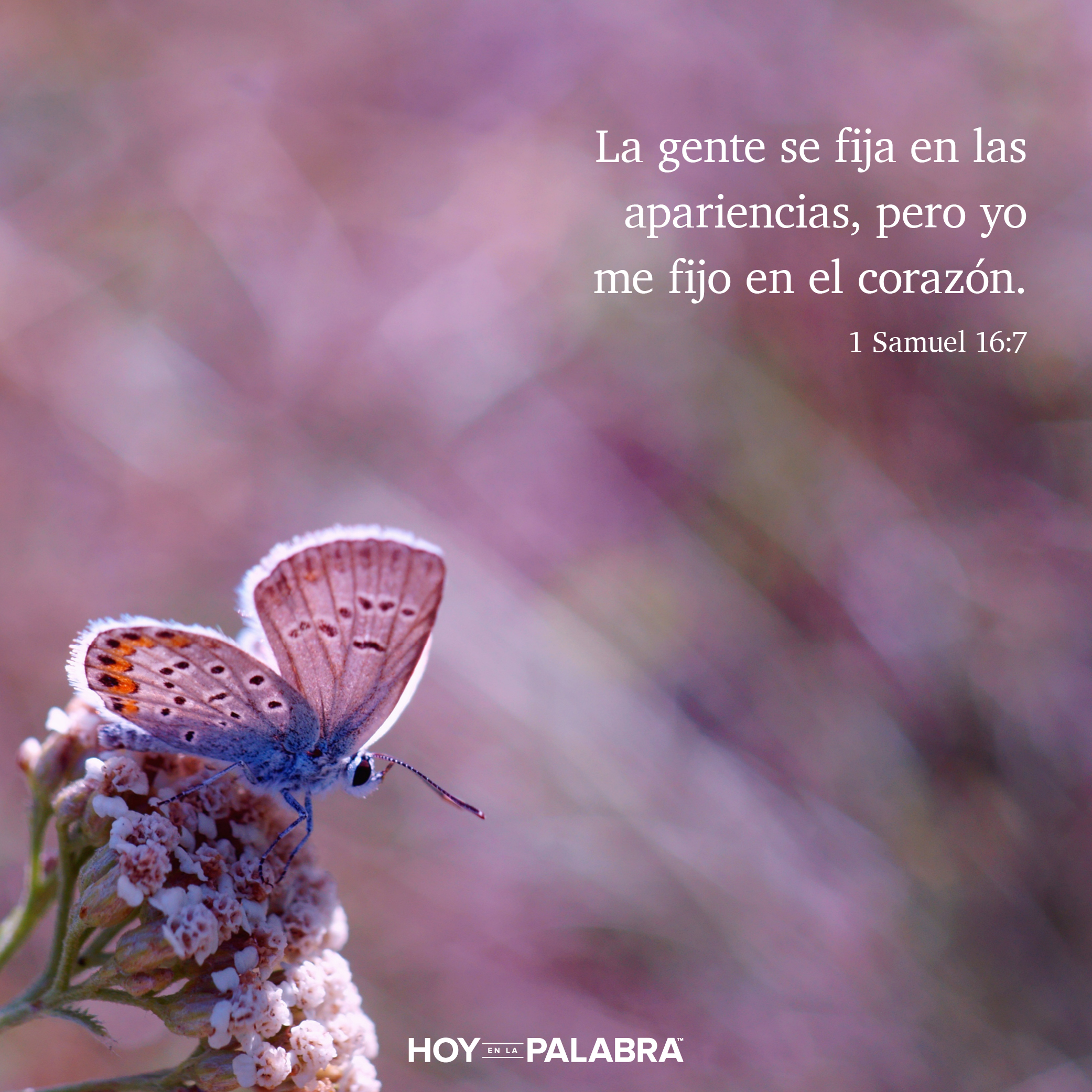 Tristemente célebre